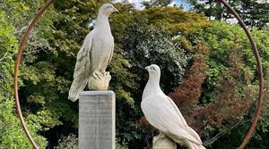 Martin, Abby - Company of Columbidae
